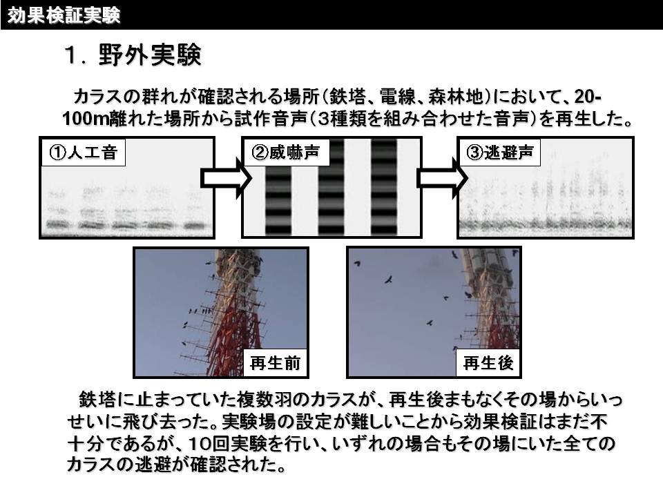 効果検証実験